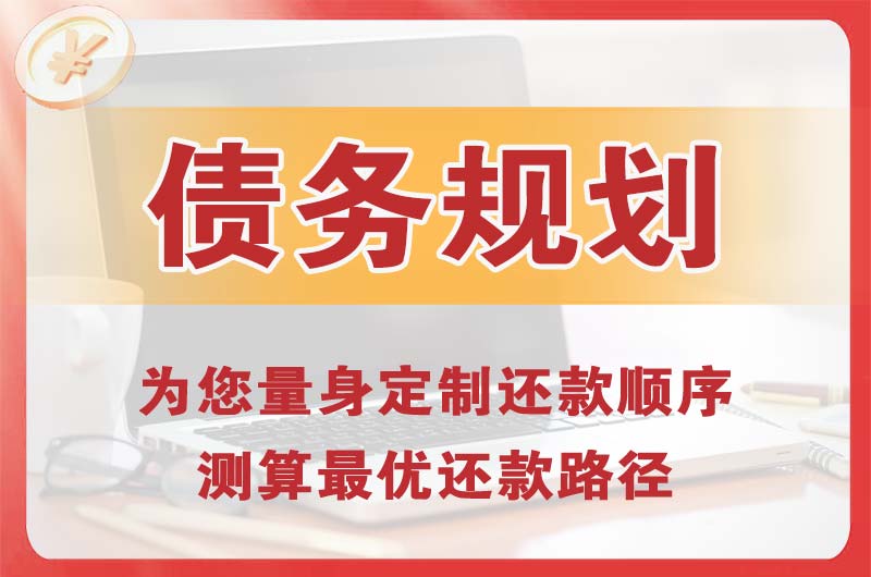 阳朔县债务规划
